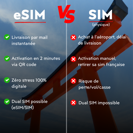 eSIM vs carte SIM physique : que choisir pour votre voyage au Japon ? - PlanJapon