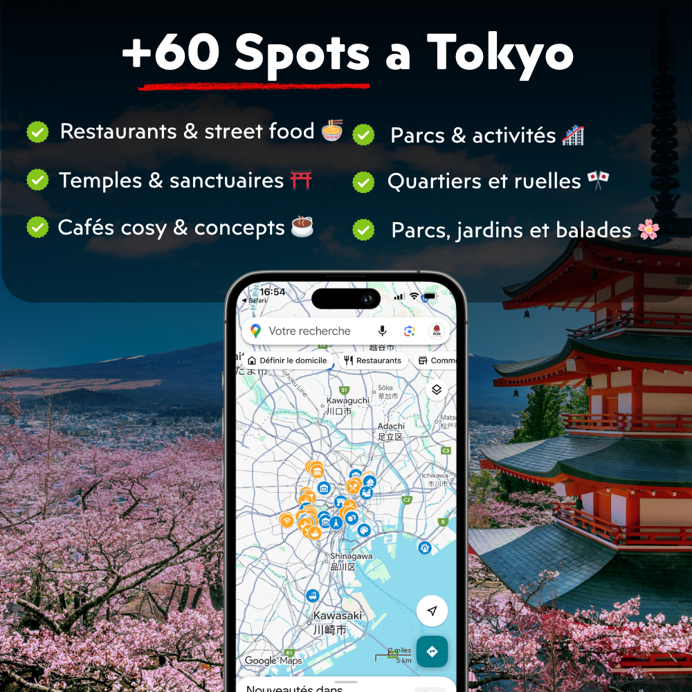 Google Maps Japan